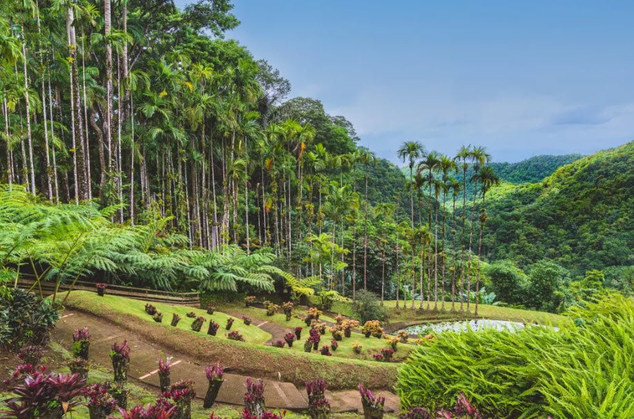 Jardin de Balata, Fort-de-France, Martinique, France